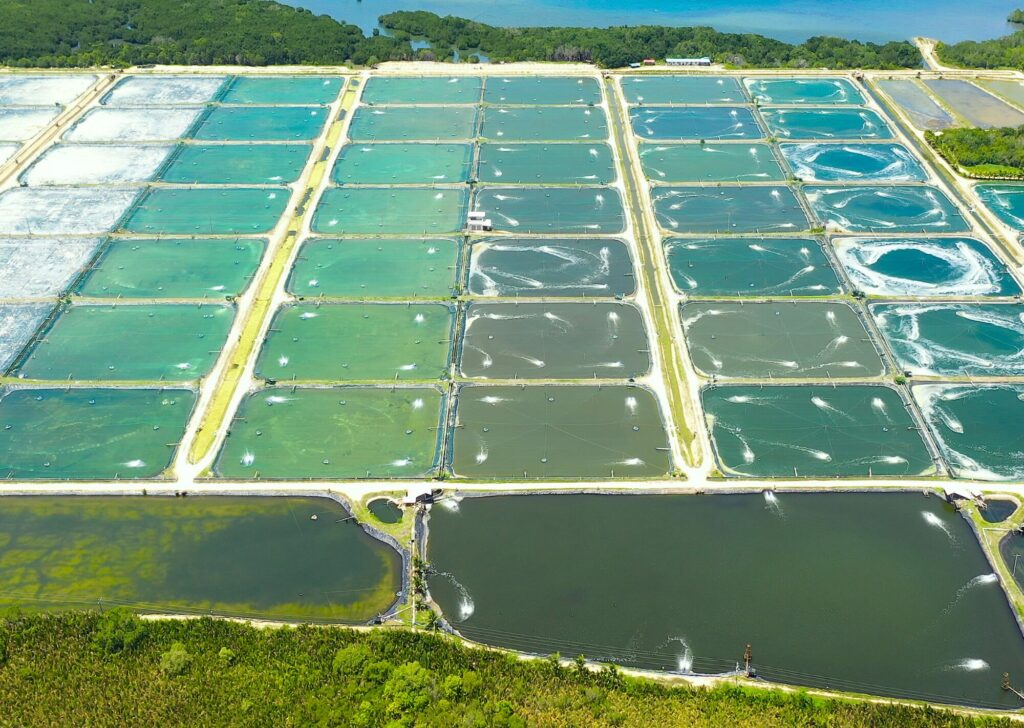 aquaculture