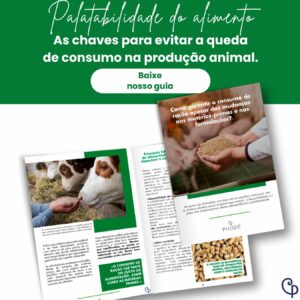 White Paper Cristalfeed - Brésil Linkedin - PT Br