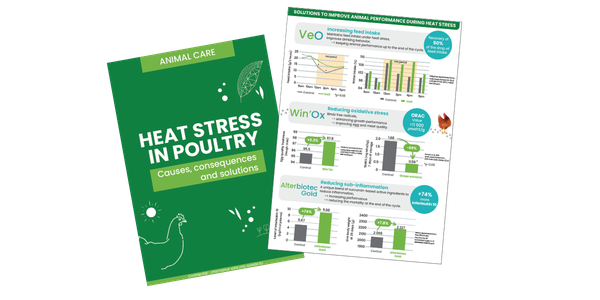 Brochure heat stress poultry