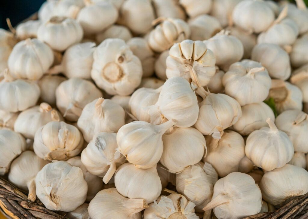 Ajo Acción antimicrobiana y antiparasitaria Acuicultura