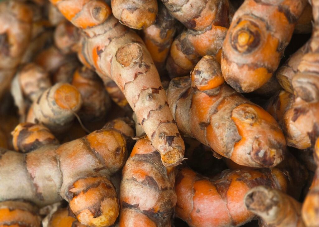 Cúrcuma Acción antiinflamatoria Acuicultura